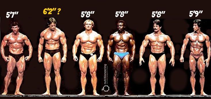 Debunking the Height of Arnold Schwarzenegger Controversy: How Tall Is Arnold Schwarzenegger Really?