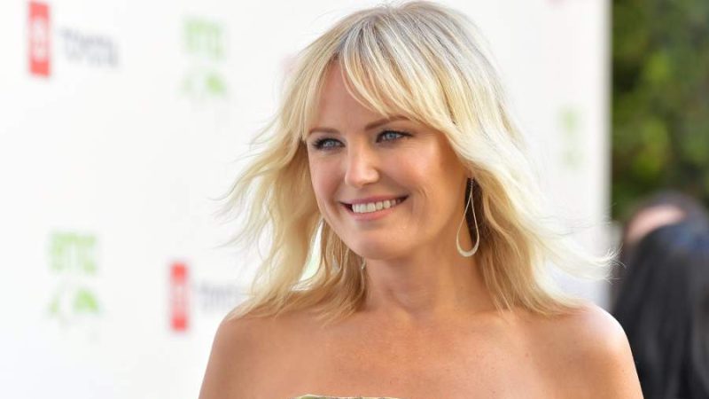 Some Engrossing Facts About Malin Akerman You Can Not Miss