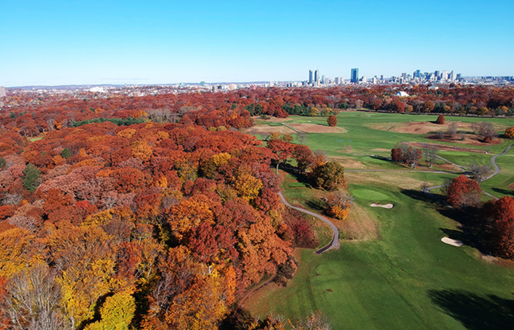 Franklin Park News