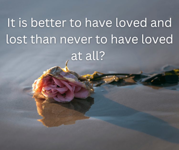 The Value of Love: Why It Is Better to Have Loved and Lost